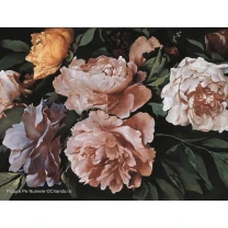 Pictura pe numere Flori, 40x50 cm, Diversitatea Petalelor, PDA712