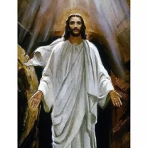 Picturi pe numere Religioase 40x50 cm Isus PDP427