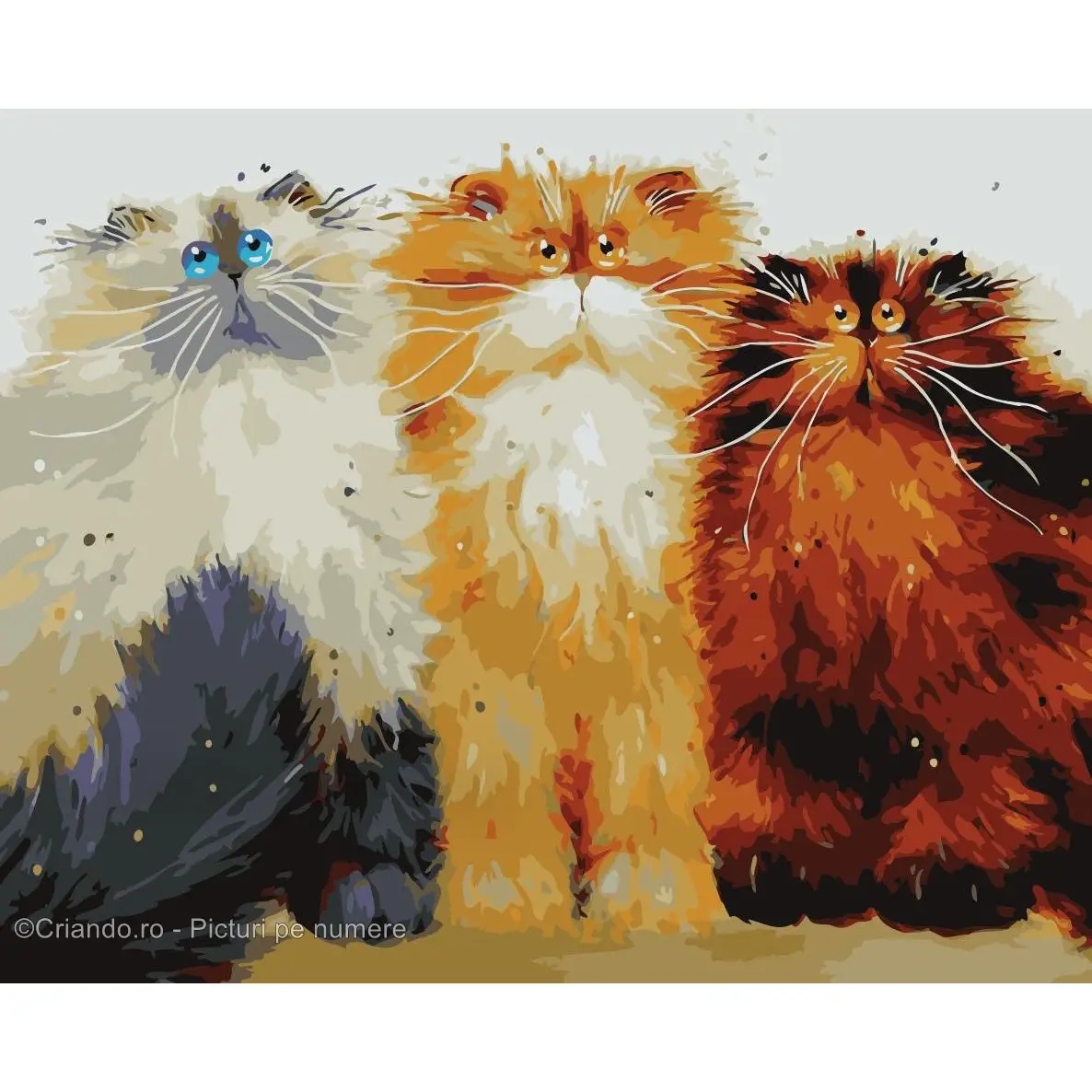 Pictura pe numere Animale 40x50 cm, Gabarit de Pisica, PDP2207