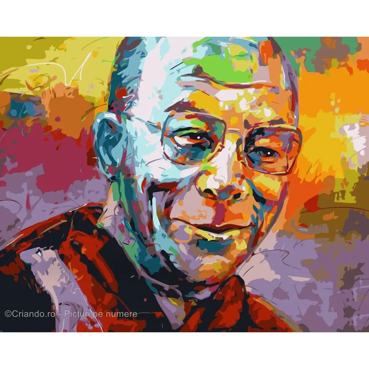 Pictura pe numere Portret Dalai Lama, 40x50 cm PDP2180