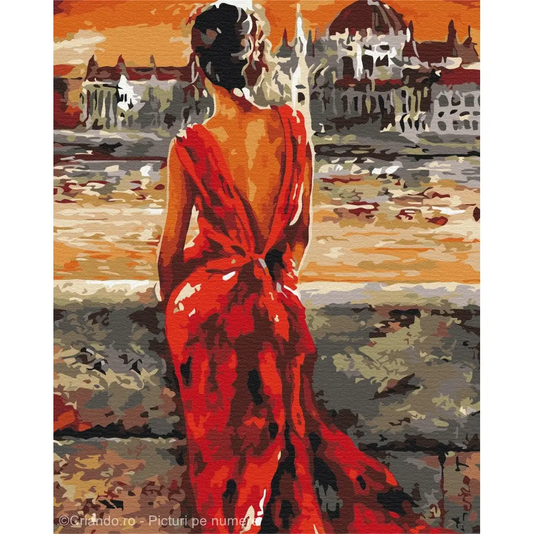 Pictura pe numere 40x50 cm, Lady in Red, PDX177