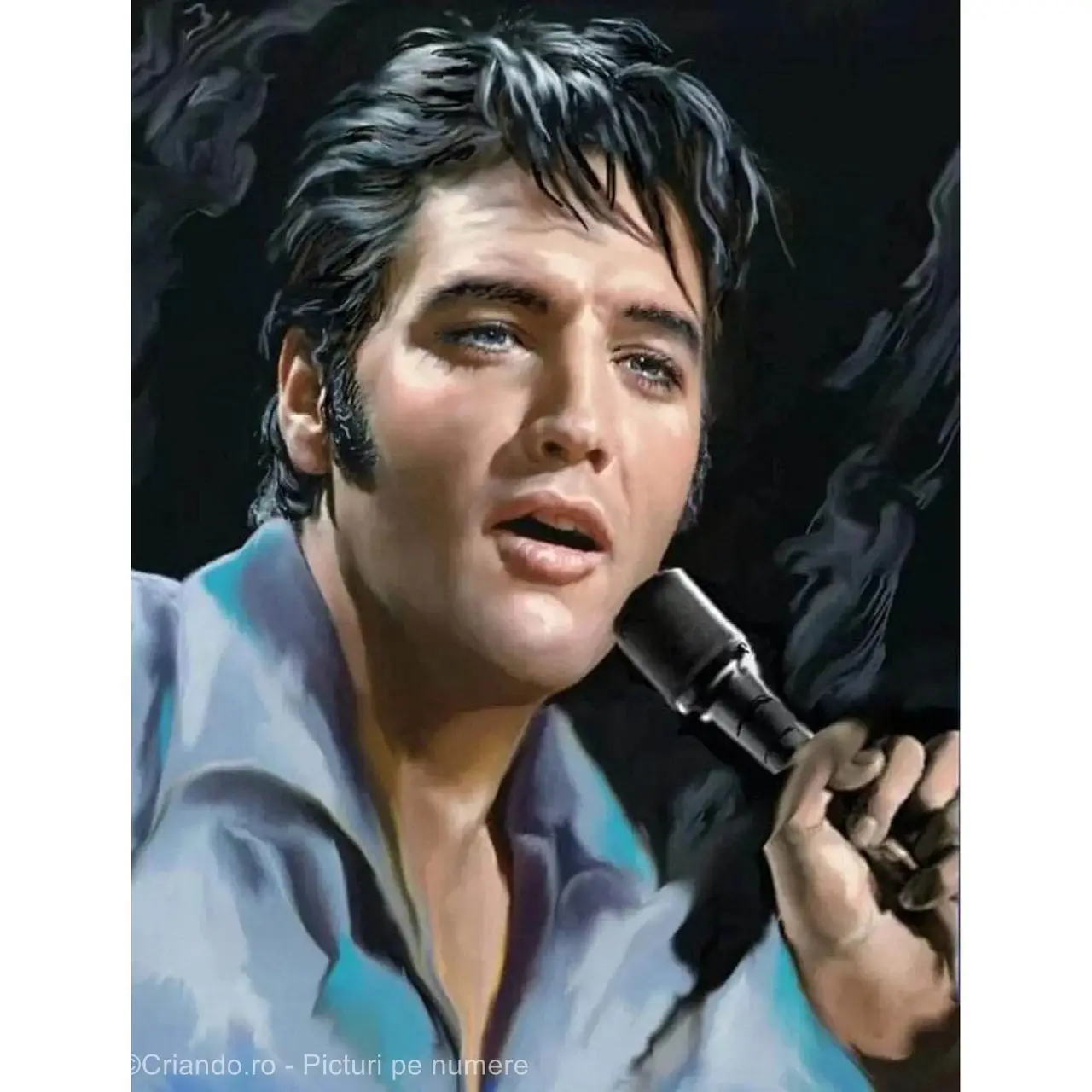 Pictura pe numere Muzica 40x50 cm, Elvis Presley, PDP1908