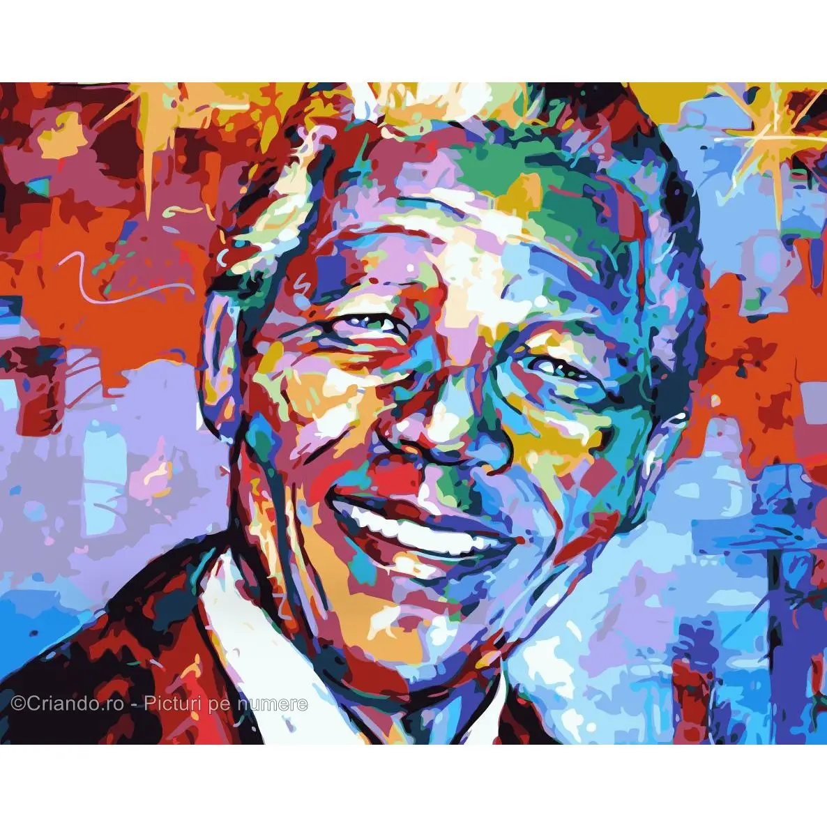 Pictura pe numere Portret 40x50 cm, Un Moment pentru Mandela, PDP2335