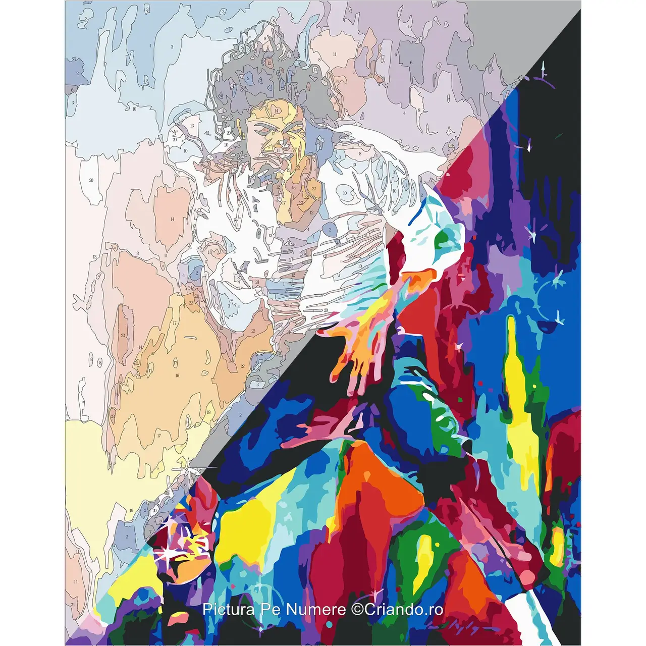 Pictura pe numere Portret 60x75 cm, Regele Muzicii Pop Michael Jackson, PDP175